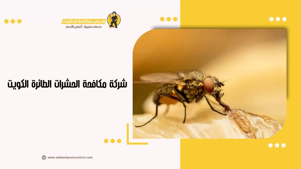 شركة مكافحة الحشرات الطائرة الكويت